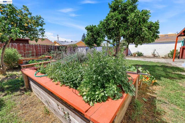 16311 Ria Dr, Ashland, CA 94578