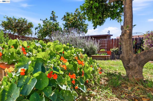 16311 Ria Dr, Ashland, CA 94578