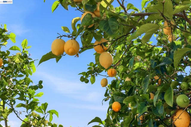 16311 Ria Dr, Ashland, CA 94578