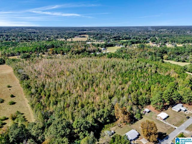 0 HOPEWELL DRIVE, Clanton, AL 35045