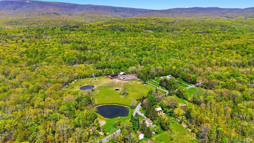51 Redder Road, Pine Bush, NY 12566