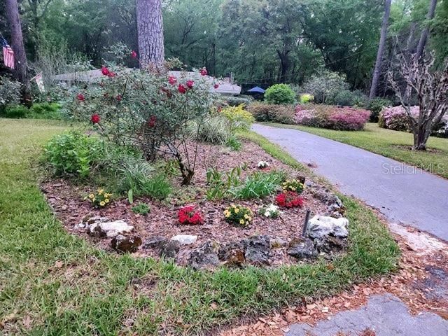 412 NW 46TH STREET, Gainesville, FL 32607