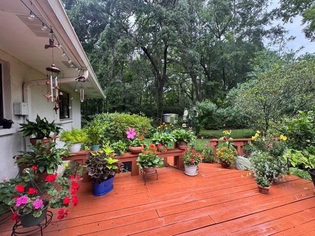 412 NW 46TH STREET, Gainesville, FL 32607