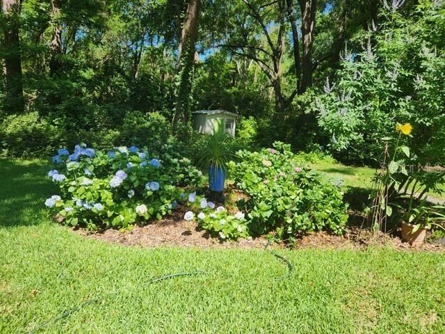 412 NW 46TH STREET, Gainesville, FL 32607