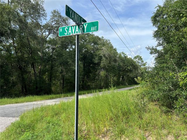 3677 E YANDLE PLACE, Inverness, FL 34453
