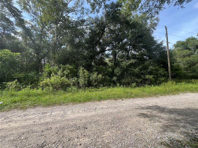 3677 E YANDLE PLACE, Inverness, FL 34453