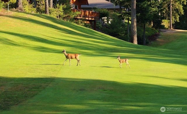 111 E Country Club Drive N, Union, WA 98592