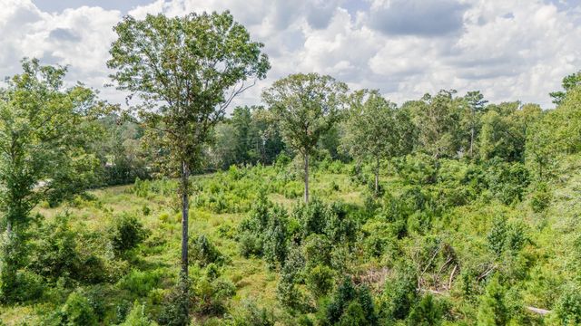 17171 E Fm 1097 Road, Willis, TX 77378