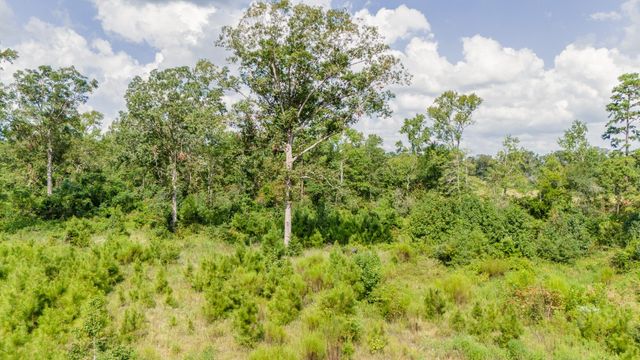 17171 E Fm 1097 Road, Willis, TX 77378