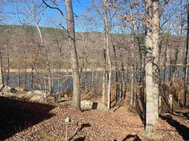 110 Lake Drive, Drasco, AR 72530