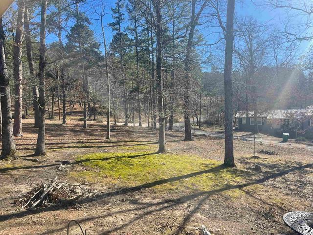 110 Lake Drive, Drasco, AR 72530