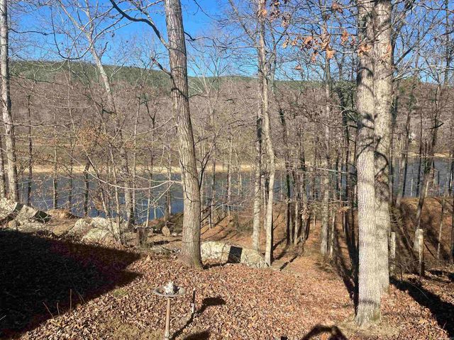 110 Lake Drive, Drasco, AR 72530