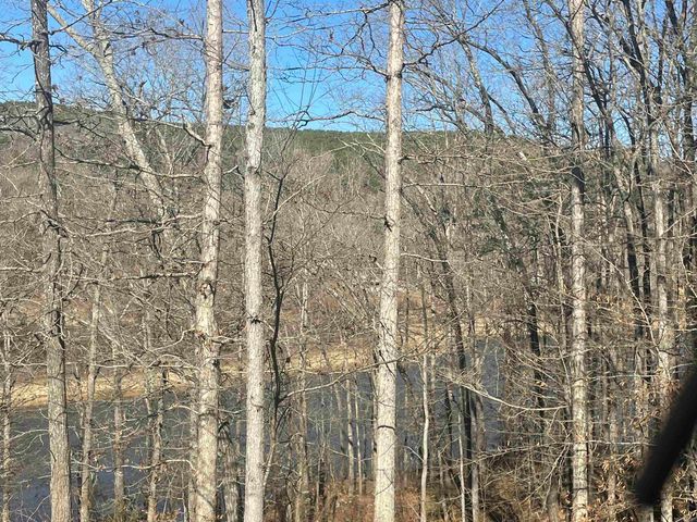 110 Lake Drive, Drasco, AR 72530