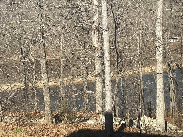 110 Lake Drive, Drasco, AR 72530