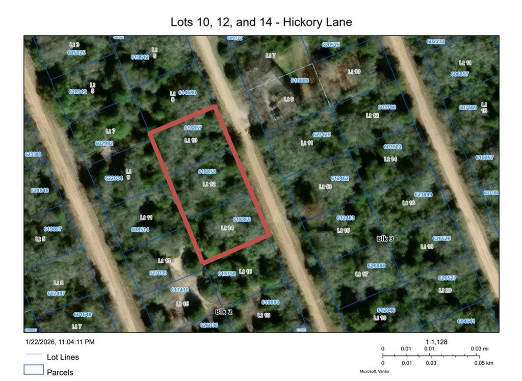TBD Hickory Lane, Hilltop Lakes, TX 77871 — photo 3