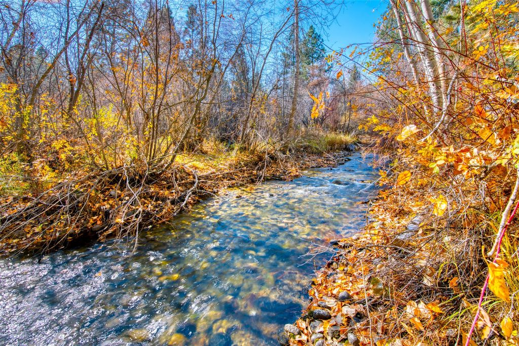 2291 Meridian Road, Victor, MT 59875 photo 10