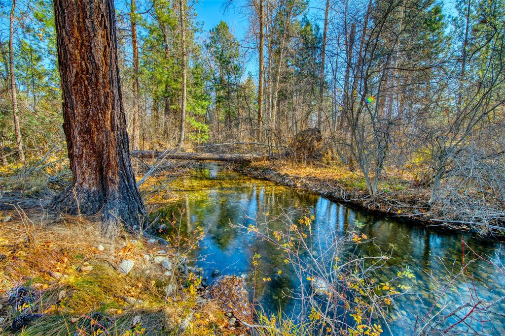 2291 Meridian Road, Victor, MT 59875 photo 106