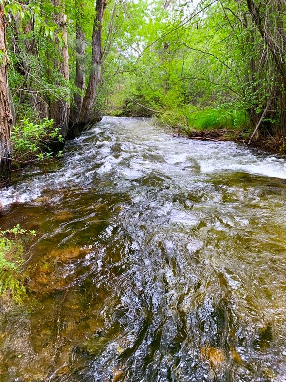 2291 Meridian Road, Victor, MT 59875 photo 109