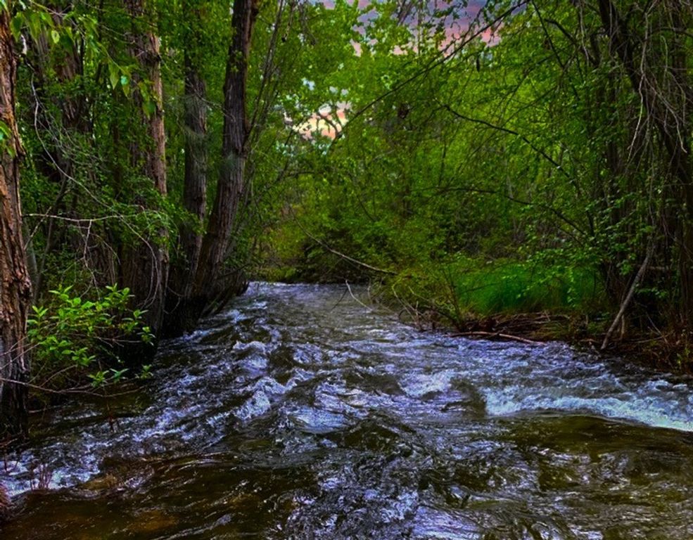 2291 Meridian Road, Victor, MT 59875 photo 113