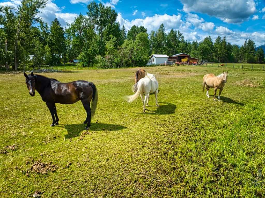 2291 Meridian Road, Victor, MT 59875 photo 12