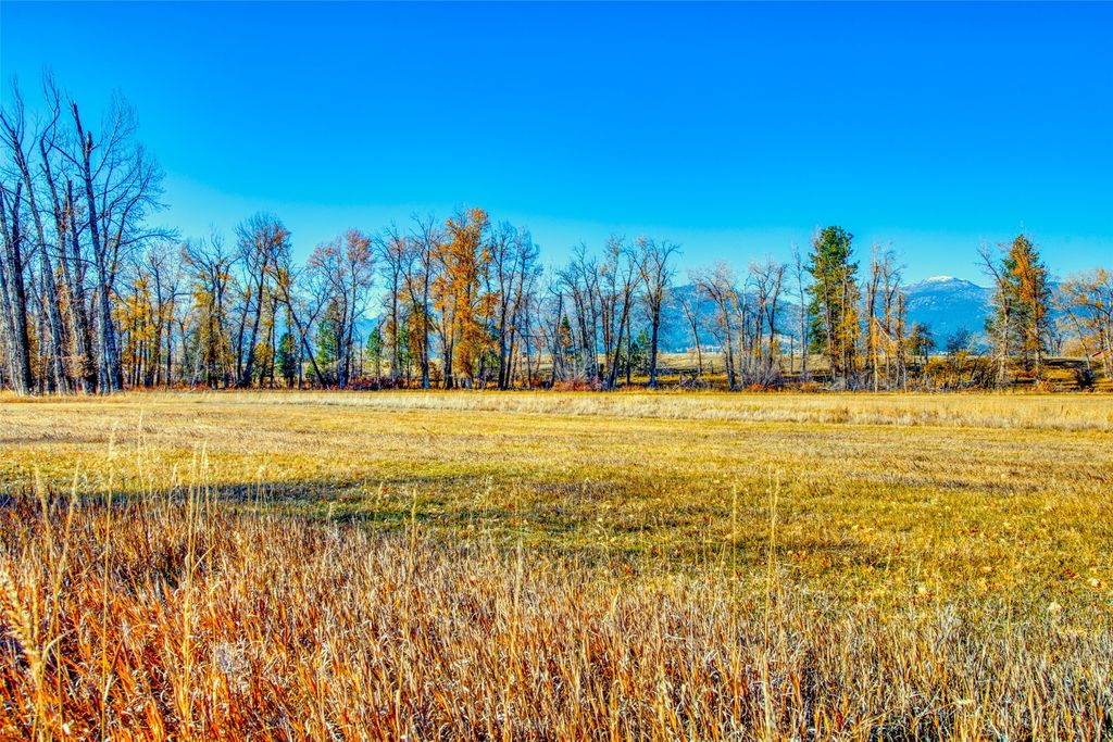 2291 Meridian Road, Victor, MT 59875 photo 74