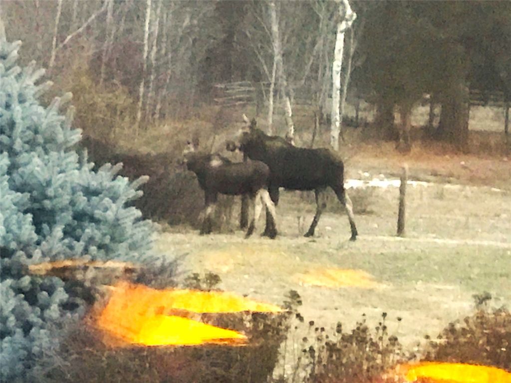 2291 Meridian Road, Victor, MT 59875 photo 96