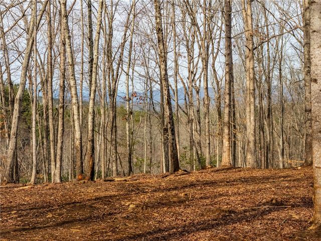 Lot 118 Pine Harbor Way, Salem, SC 29676