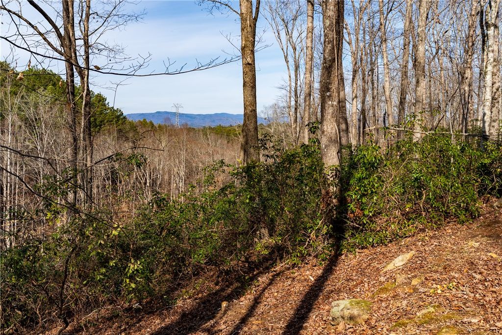 Lot 118 Pine Harbor Way, Salem, SC 29676