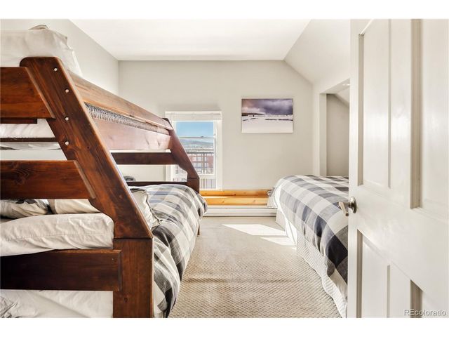 401 Old Saint Vincents 401, Leadville, CO 80461