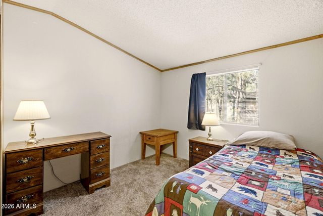 2877 LAZY BEAR Trail, Overgaard, AZ 85933