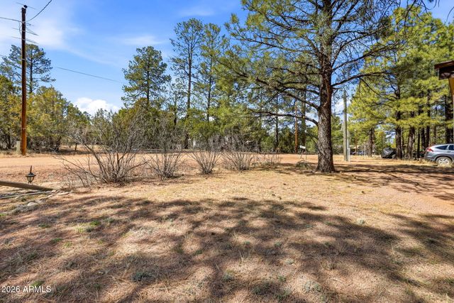 2877 LAZY BEAR Trail, Overgaard, AZ 85933