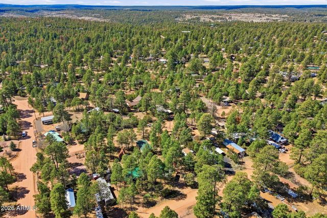 2877 LAZY BEAR Trail, Overgaard, AZ 85933