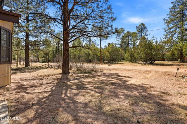 2877 LAZY BEAR Trail, Overgaard, AZ 85933