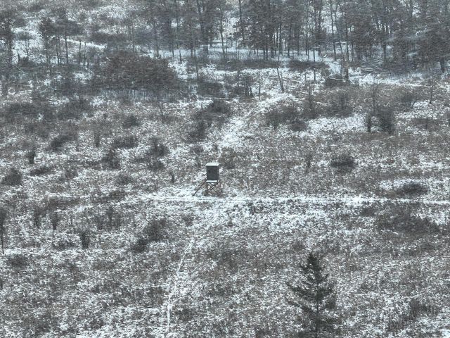 2540 18th AVENUE, Friendship, WI 53934