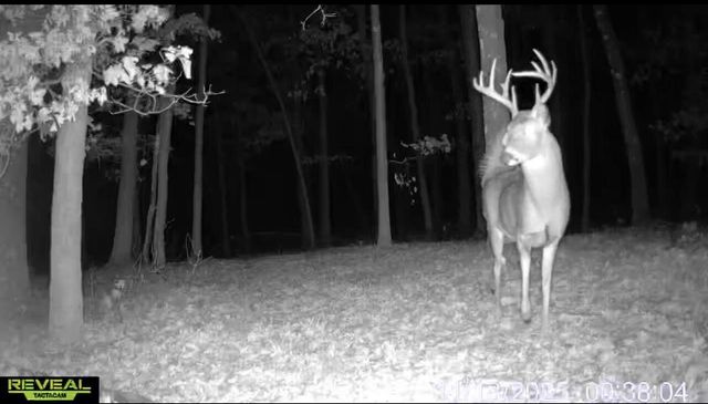 2540 18th AVENUE, Friendship, WI 53934