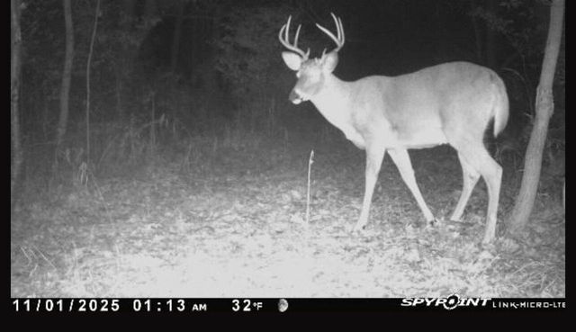 2540 18th AVENUE, Friendship, WI 53934