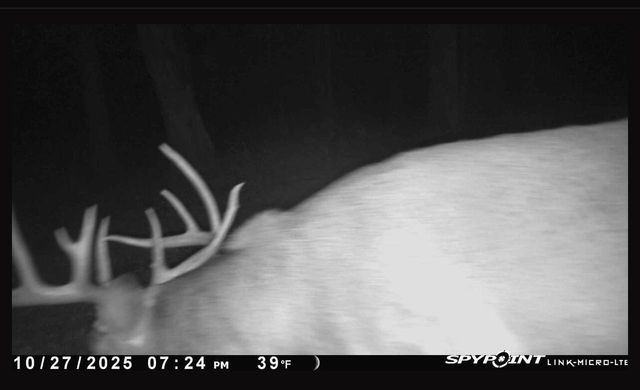 2540 18th AVENUE, Friendship, WI 53934