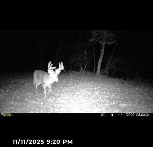 2540 18th AVENUE, Friendship, WI 53934