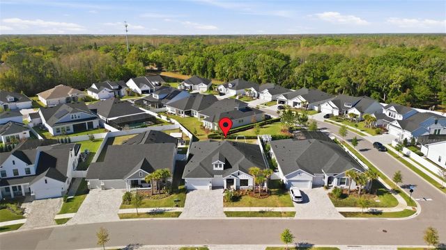 6105 NIKKI LANE, Odessa, FL 33556