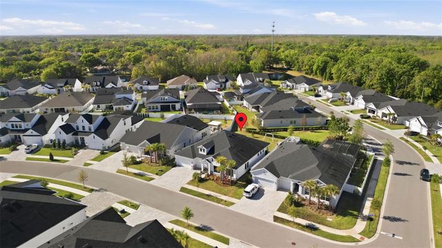 6105 NIKKI LANE, Odessa, FL 33556