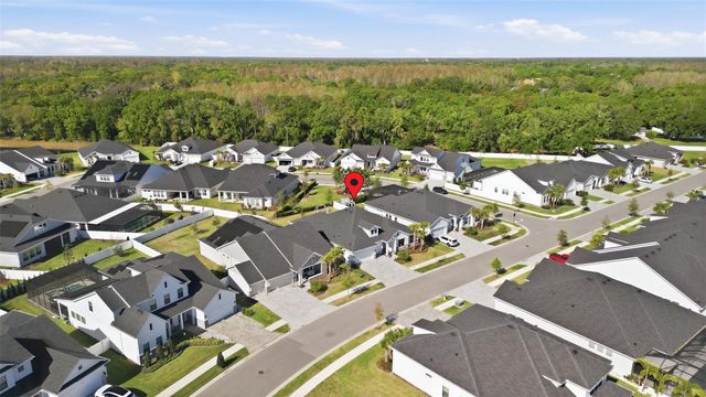 6105 NIKKI LANE, Odessa, FL 33556