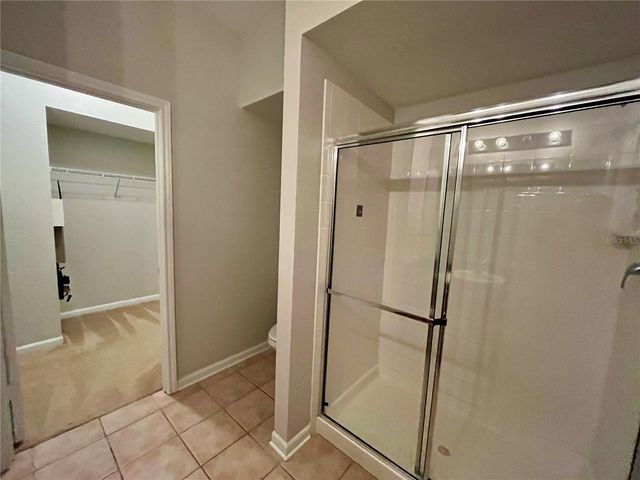 8202 DOWNPATRICK COURT, Tampa, FL 33610