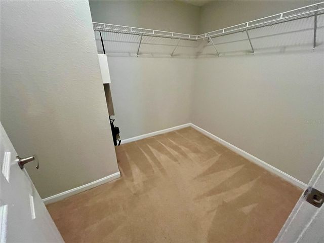 8202 DOWNPATRICK COURT, Tampa, FL 33610