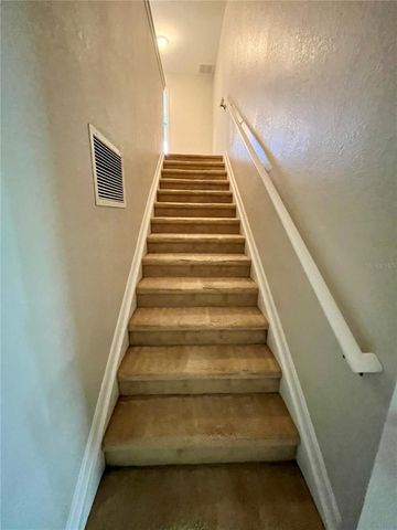8202 DOWNPATRICK COURT, Tampa, FL 33610