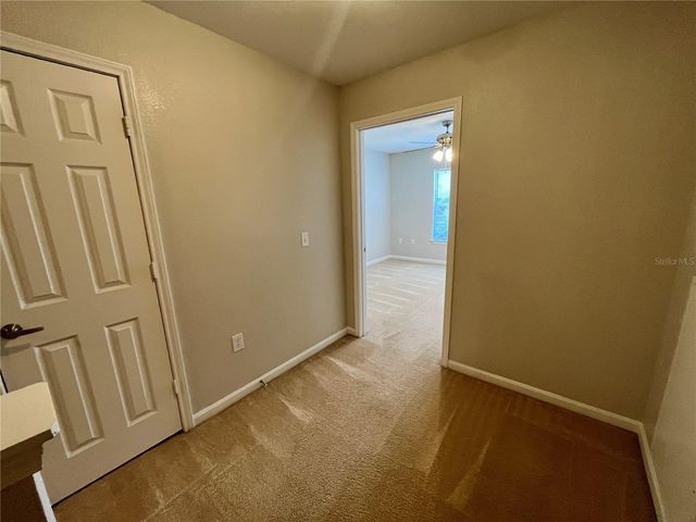 8202 DOWNPATRICK COURT, Tampa, FL 33610