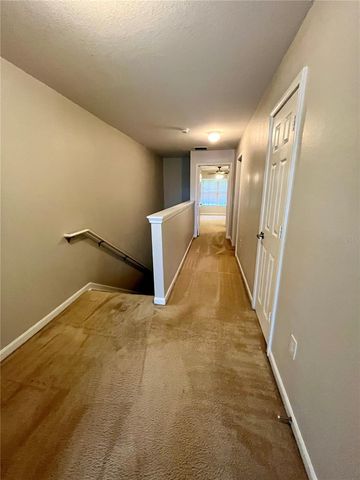 8202 DOWNPATRICK COURT, Tampa, FL 33610