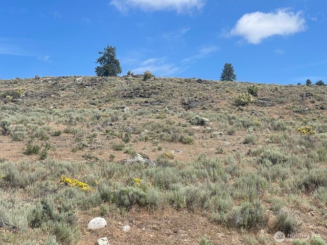 16 Breezy Lane, Tonasket, WA 98855