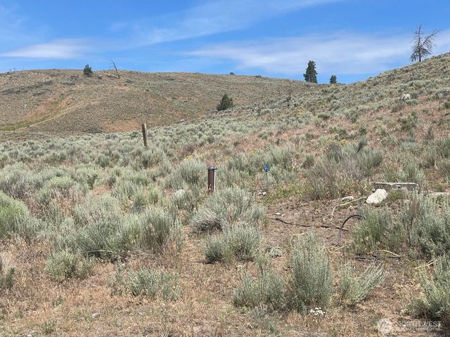 16 Breezy Lane, Tonasket, WA 98855