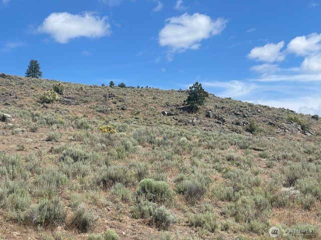 16 Breezy Lane, Tonasket, WA 98855