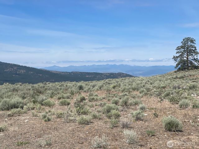 16 Breezy Lane, Tonasket, WA 98855